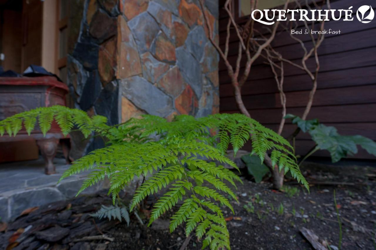 Quetrihue Acomodação com café da manhã Puerto Varas Exterior foto